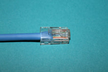 CAT 5 Crossover Cable - 100 foot