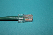 CAT 5 Patch Cable - 50 foot