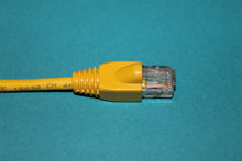 CAT 5 Patch Cable - 175 foot