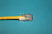 CAT 5 Patch Cable - 5 foot